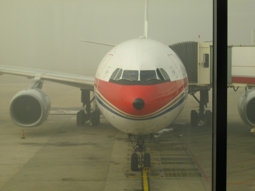 My plane, finally visible