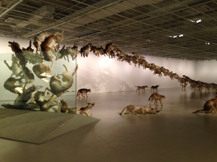 ... and then crash headfirst into a glass wall.