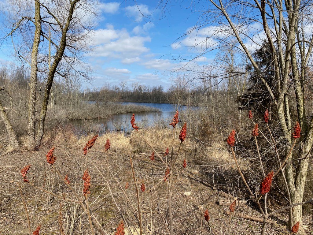 Weekly Wanderings: March 3,&nbsp;2024