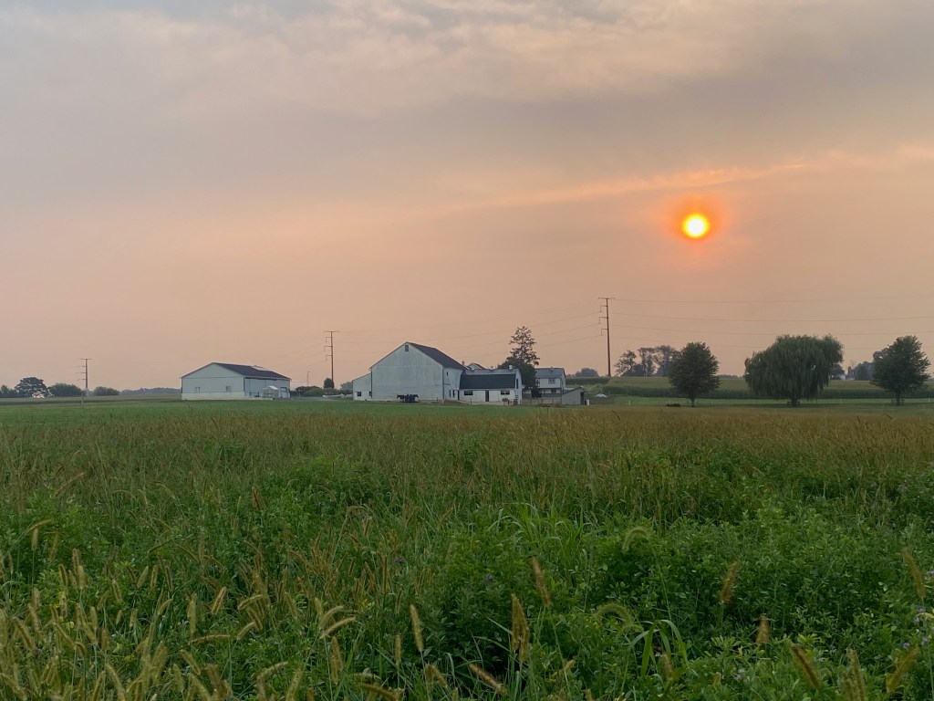 A smudgy orange sun rises over a farm and field.