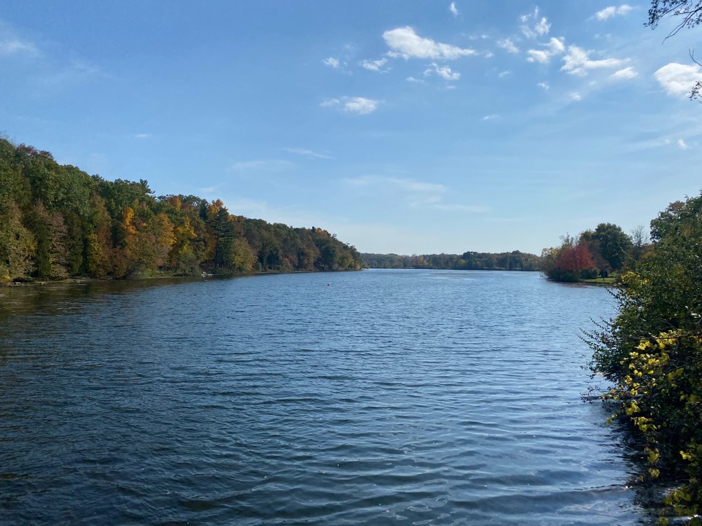 Weekly Wanderings: October 20, 2025