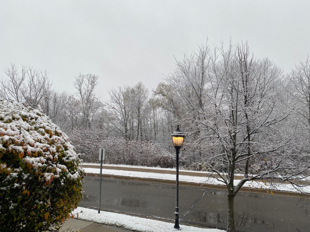 An empty road is bordered by snow-covered sidewalks and trees.