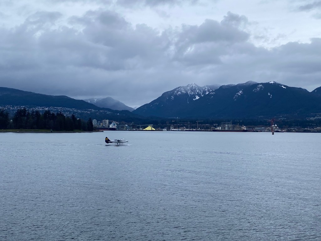 A small seaplane lands on water, gray skies and mountains in the background
