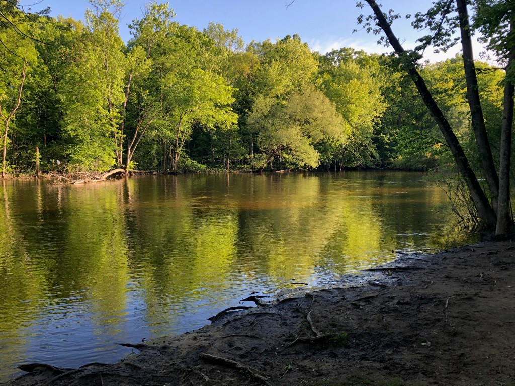 Bright green trees encircle a body of water and are reflected on its surface.