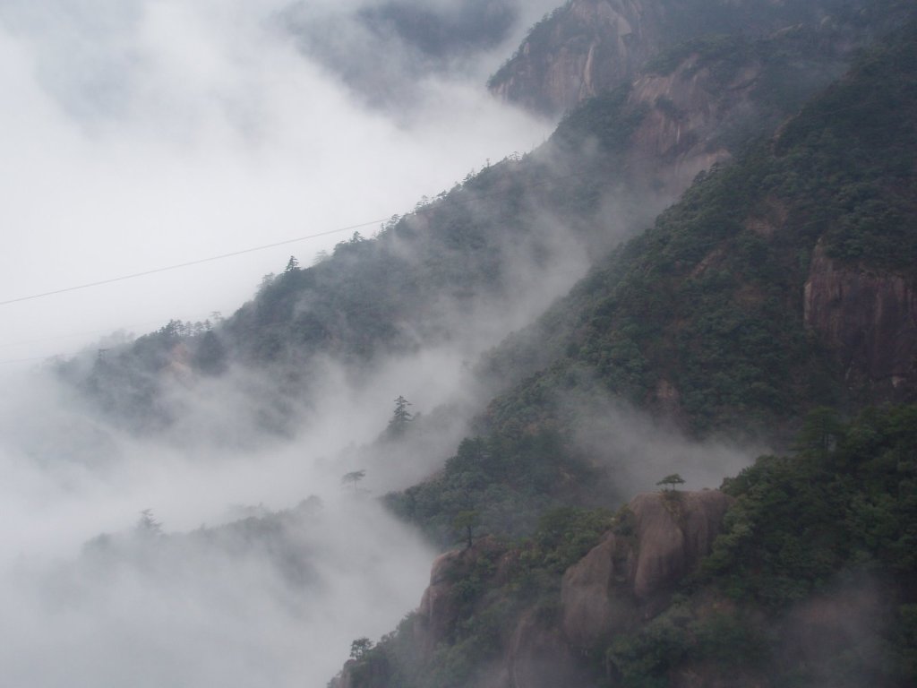 Photo from high up on a mountain, looking down at dark green trees and mist below.