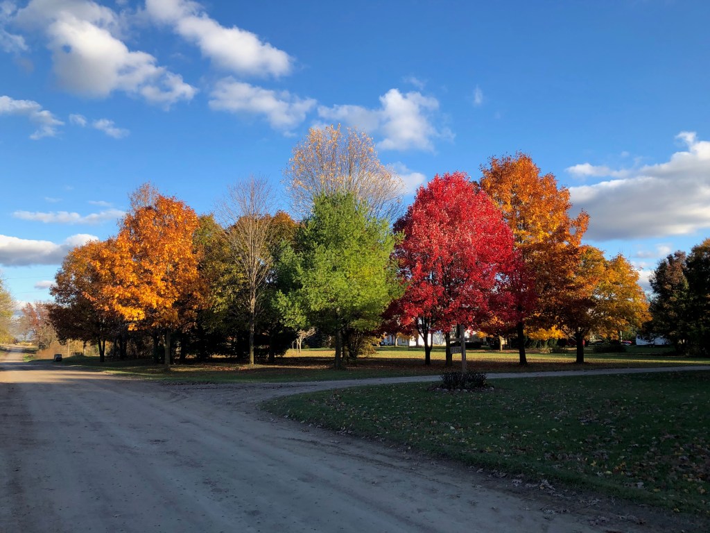 Brightly colored autumn trees against a blue sky.